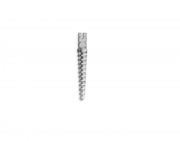 Dentsply Unimetric Titanium Root Post